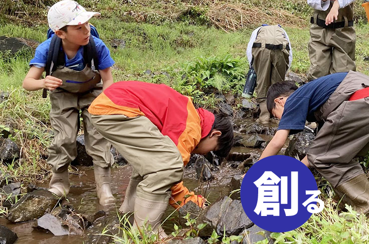 水生生物研究圖像