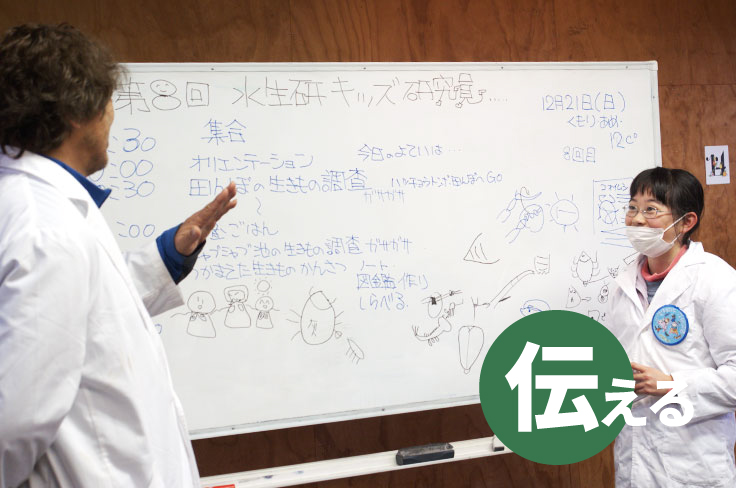 水生生物研究圖像