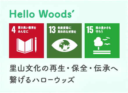 你好 Woods'