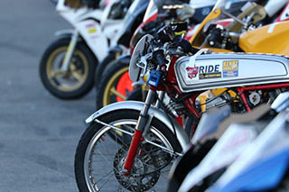 2018年11月17日（星期六）フォトギャラリー