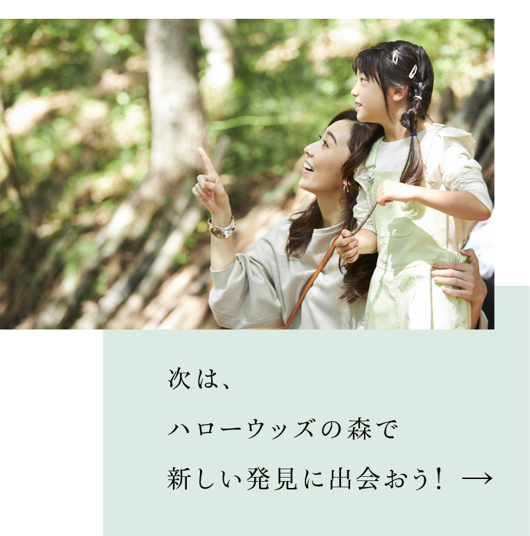 下一站，讓我們在真正的森林「Hello Woods」中尋找新的發現吧！