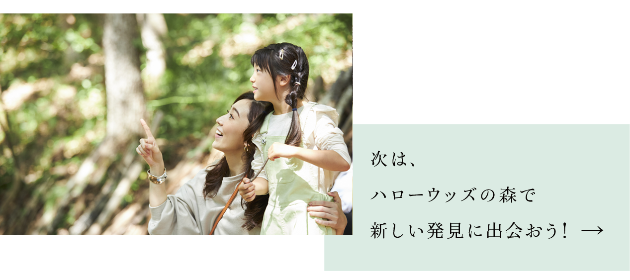 下一站，讓我們在真正的森林「Hello Woods」中尋找新的發現吧！