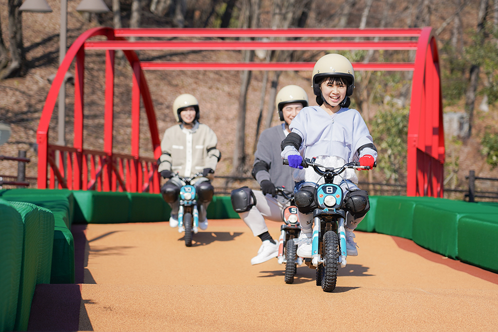 春季特別日通行證