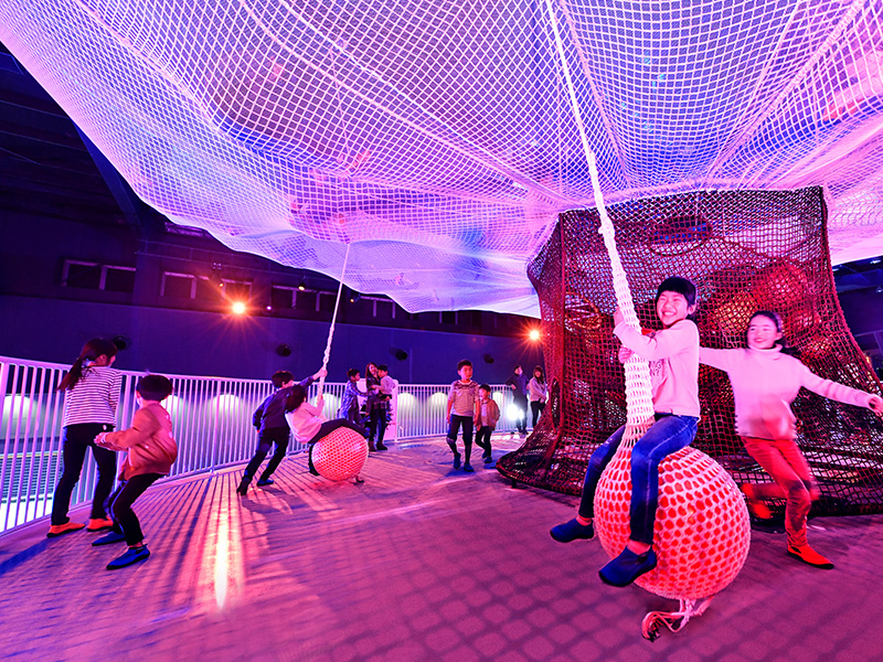 森中的家族運動場