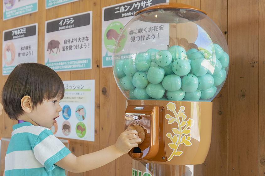 橡果寶石・冒險